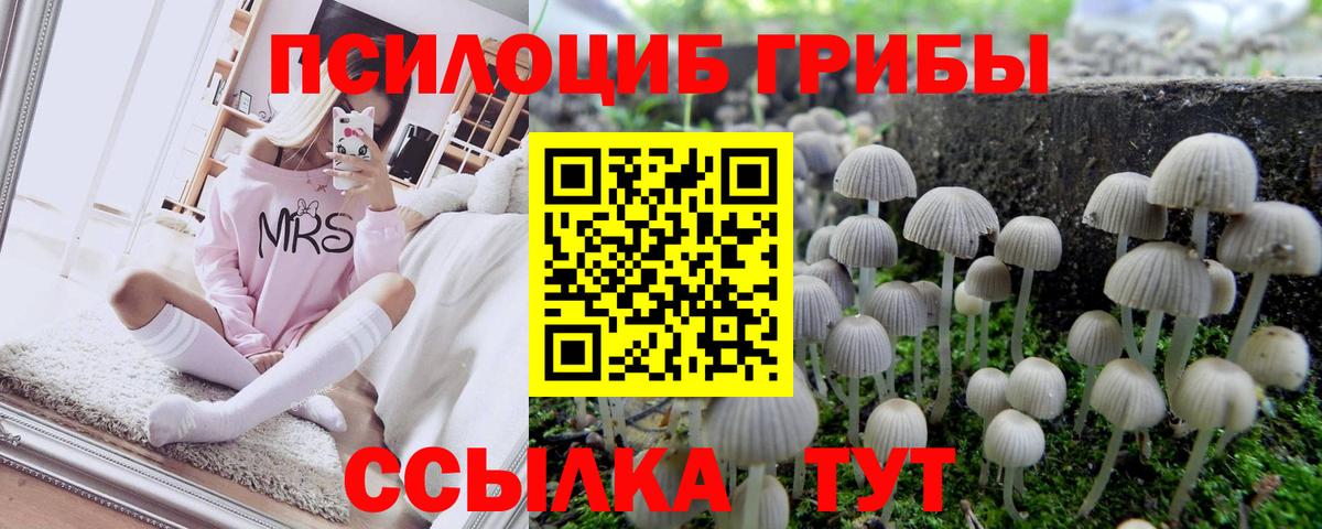 Симферополь  Псилоцибиновые грибы прущие грибы  Вход с VPN 